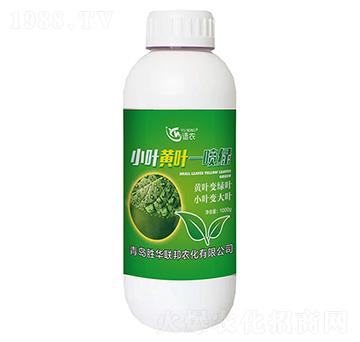 小葉黃葉—噴綠-語農(nóng)-勝華聯(lián)邦