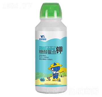 �Ǵ������-�{(l��n)؈�ǻ�