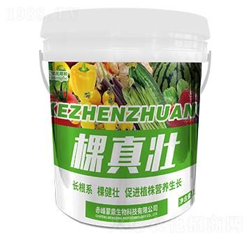 �����-�͝��r(n��ng)�I(y��)