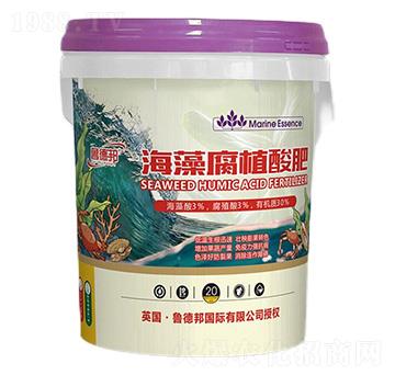 ���帯ֲ���-��?sh��)°? width=