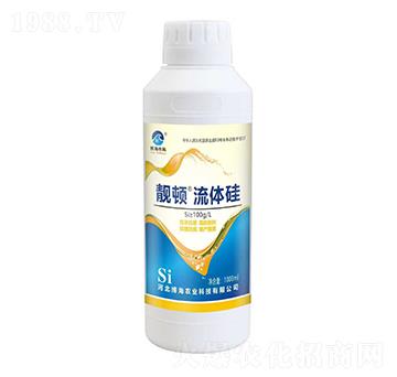 �n�D���w��-��������