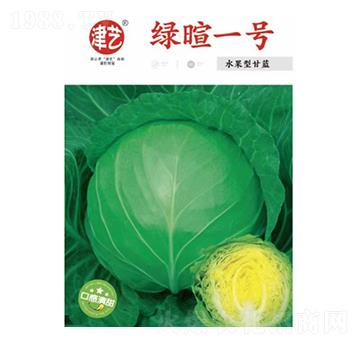 甘藍(lán)種子-綠暄一號(hào)-邯豐農(nóng)業(yè)