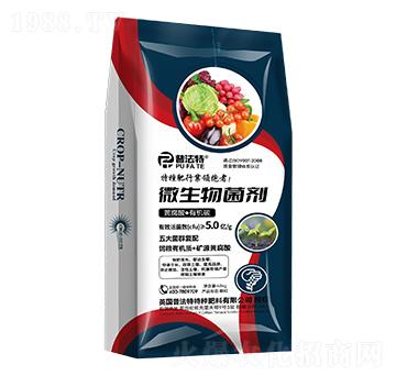 �S���ᡤ�ЙC̼΢�������-�շ���