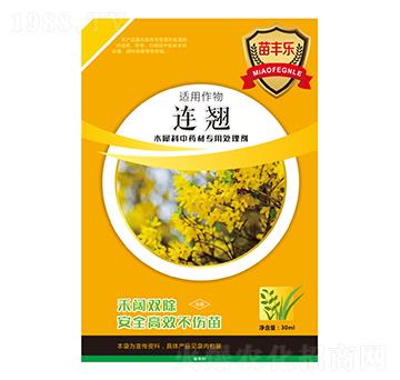 �B�NľϬ����ˎ�Č�(zhu��n)��̎�턩-���S��(l��)-�瘷(l��)���r(n��ng)�I(y��)