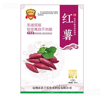 �t����(j��ng)��(j��)�����ó��݄�-���S��(l��)-�瘷(l��)���r(n��ng)�I(y��)