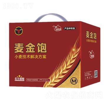 С�����a���g��Q����-�����-��ţ���H