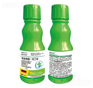 33%�����ͪ���ض���-�����-�f(w��n)��