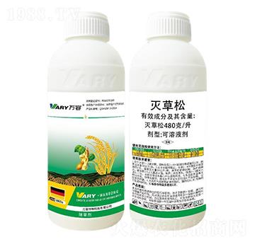 480���������-�f(w��n)��