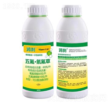 60��/������������-��(r��n)�x-�f(w��n)��