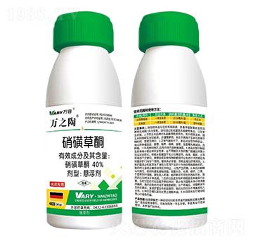 40%���ǲ�ͪ-�f(w��n)֮��-�f(w��n)��