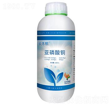 ���S�n�������~-�ƴ�Ƽ�