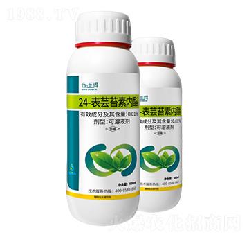 0.01%24-���|̦�؃���-���A��