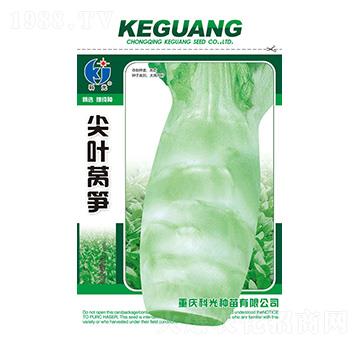 ���~�n�S-�ƹ�N��