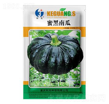 �ۺ��Ϲ�-�ƹ�N��