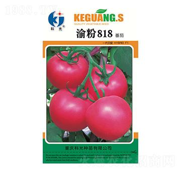 ���818-�ƹ�N��