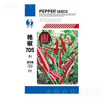 艷椒705辣椒種子-科光種苗