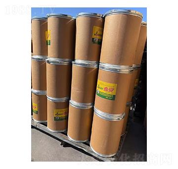 金安25公斤-金泰亨