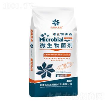 ΢��������ۄ�-�鶹������-���⻨