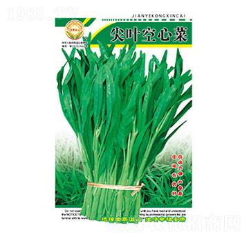 ���Ĳ˷N��-���~���Ĳ�-̫��(l��)�N�I(y��)