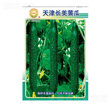 �S�ϷN��-����L���S��-̫���N�I(y��)