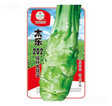 ���˷N��-̫��202-̫���N�I(y��)