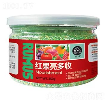 �t��������-�̶�����