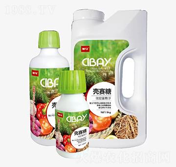 ΢�z�ґҸ�������-�̶�����