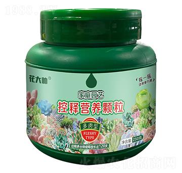 �����ͼ�ͥ�@ˇ��ጠI�B(y��ng)�w��-����-�G�ַʘI(y��)