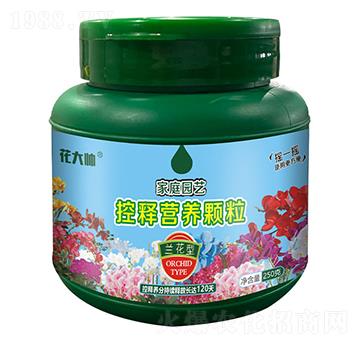 �m���ͼ�ͥ�@ˇ��ጠI�B(y��ng)�w��-����-�G�ַʘI(y��)