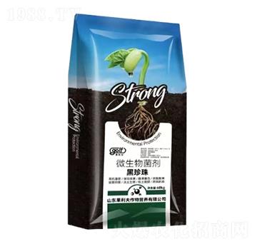 ΢�������-������-������