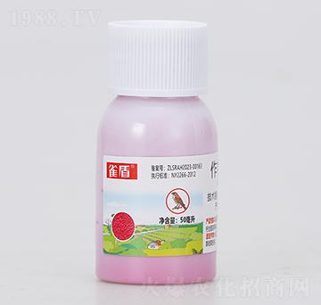 ���ﱣ�o��-ȸ��-���