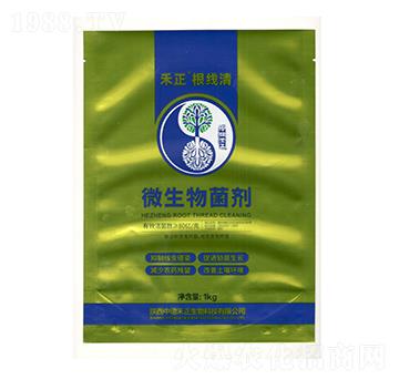 ΢�������-����������-�еº���