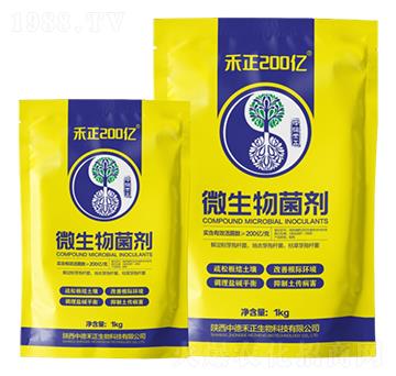 ΢�������-����200�|-�еº���