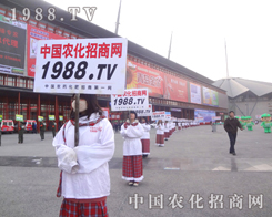 �r(n��ng)���W(w��ng)�ľ���չ���ƏV��ʼ�K�������������ߵ���