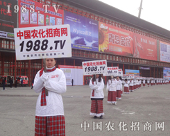 ��28��ֲ����(hu��)�r(n��ng)���W(w��ng)��(sh��)�����������(sh��)�ֺ�