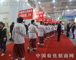 2013ɽ�|ֲ�������_���µđ�(zh��n)��