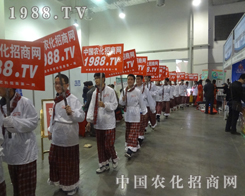 2013����ֲ������ɽ�|�����҂��ց���