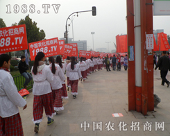 ɽ�|��(j��)��ֲ����(hu��)���зN����