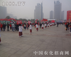 2013��(j��)��ֲ��չ���r(n��ng)���W(w��ng)��(chu��ng)չ���ƏV�¸�