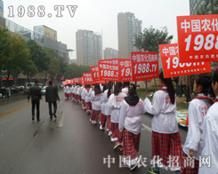 2013����ֲ�������ڡ�С��ꖡ��Ĺ�â