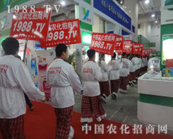 ��չ�̌��r������ӡ����