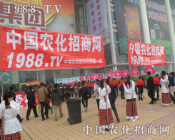 2013ɽ�|ֲ���p�������F(tu��n)�(du��)��������