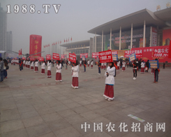 �r(n��ng)���W(w��ng)�ڵ�19�Ý�(j��)��ֲ�����ו�(hu��)����