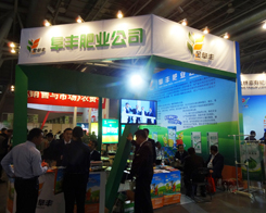 ���S��2013�׏ͷ�չ�N���Ϸe�O����