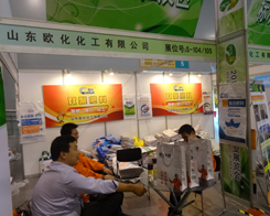 2013���׏�(f��)��չ�[���Ͽ����˚W������