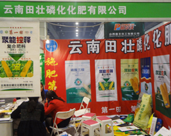 ��������׻����Єӵ�11�����ݷ��ϕ�