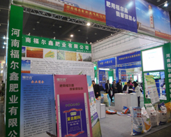 �����ηʘI(y��)�ڵ�11����ԭ�����p����(hu��)�õ�ٝ�P(y��ng)