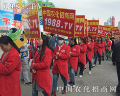 �r(n��ng)���W(w��ng)�����(du��)�ɞ�2015�����r(n��ng)ˎչһ������