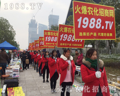 �r(n��ng)���t--2016�Ͼ�ֲ����(hu��)���������}ɫ����