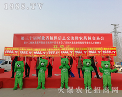 ���r���W�F�Yһ�y�ֲ�������2019�ӱ�ʯ���fֲ������